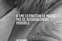 6extinction