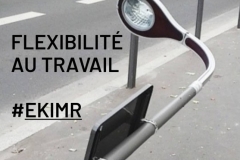 Fléxibilté