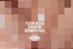 fleurbleu