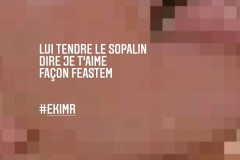 sopalin1