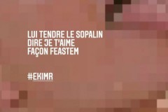 sopalin2