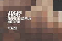 sopalin3