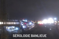 serologie