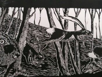 Watership down